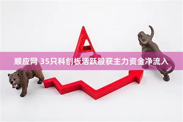 顺应网 35只科创板活跃股获主力资金净流入