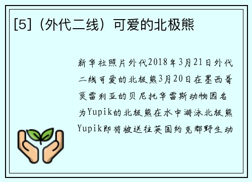 [5]（外代二线）可爱的北极熊